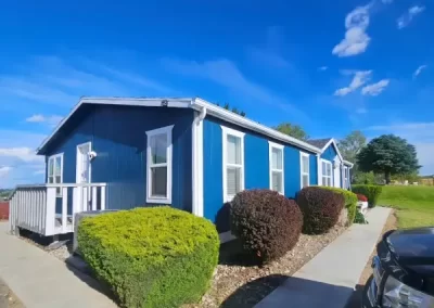 Professional Painter