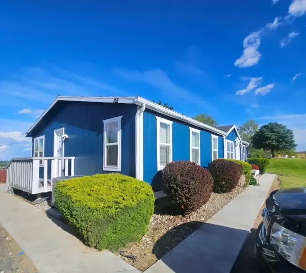 Professional Painter